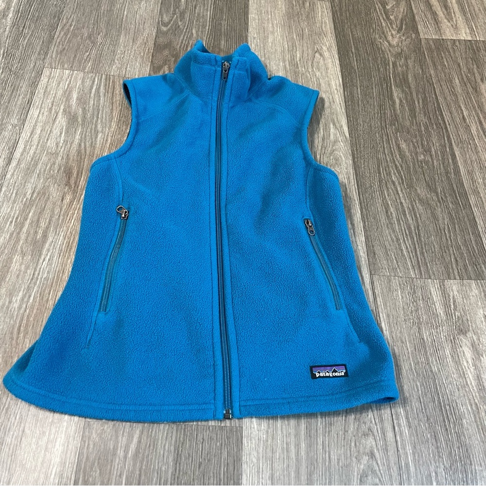 Patagonia Synchilla Vest